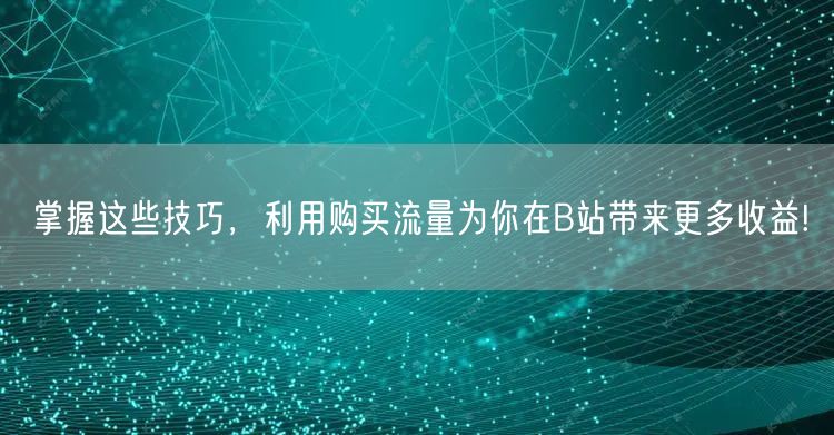 掌握这些技巧，利用购买流量为你在B站带来更多收益!