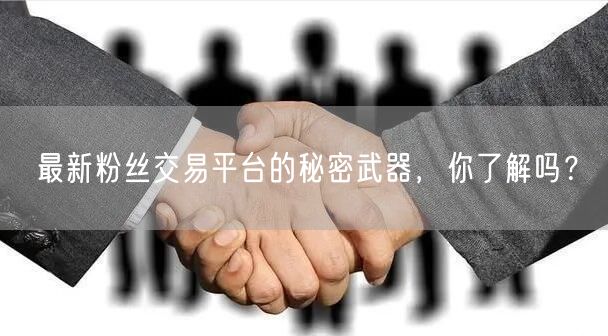 最新粉丝交易平台的秘密武器，你了解吗？