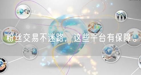 粉丝交易不迷路，这些平台有保障。