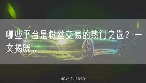 哪些平台是粉丝交易的热门之选？一文揭晓。