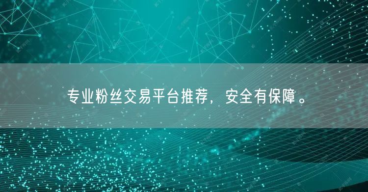 专业粉丝交易平台推荐，安全有保障。