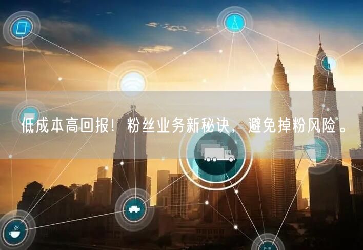 低成本高回报！粉丝业务新秘诀，避免掉粉风险。
