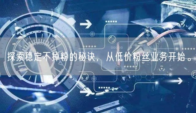 探索稳定不掉粉的秘诀，从低价粉丝业务开始。