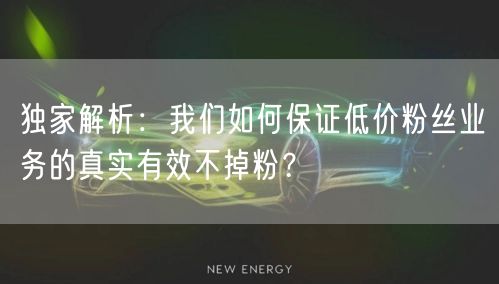 独家解析：我们如何保证低价粉丝业务的真实有效不掉粉？