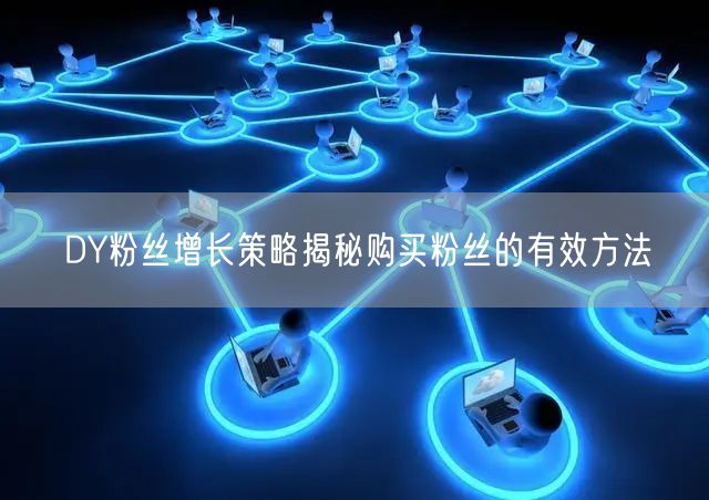 DY粉丝增长策略揭秘购买粉丝的有效方法