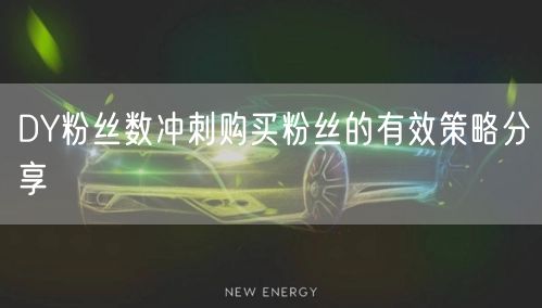 DY粉丝数冲刺购买粉丝的有效策略分享