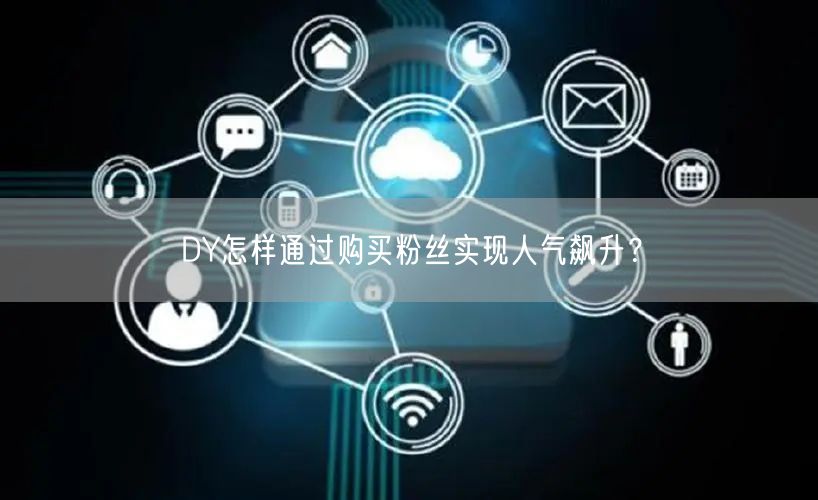DY怎样通过购买粉丝实现人气飙升？
