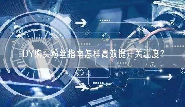 DY购买粉丝指南怎样高效提升关注度？