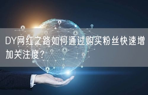 DY网红之路如何通过购买粉丝快速增加关注度？
