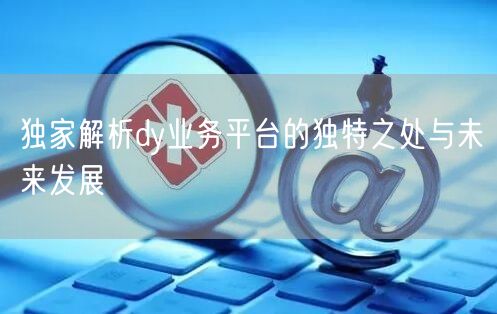 独家解析dy业务平台的独特之处与未来发展