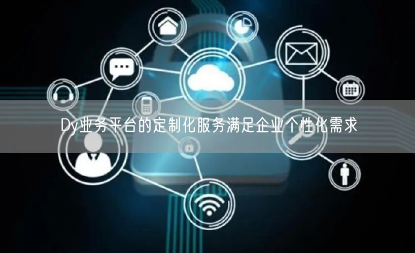 Dy业务平台的定制化服务满足企业个性化需求