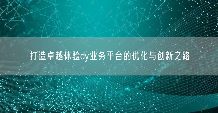 打造卓越体验dy业务平台的优化与创新之路