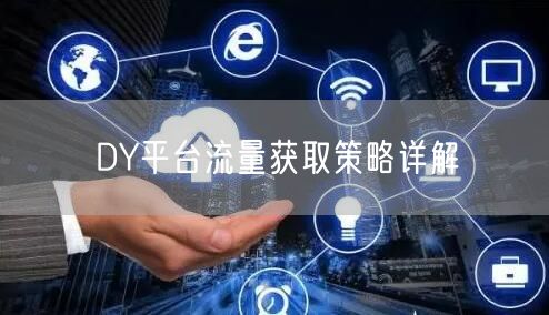 DY平台流量获取策略详解
