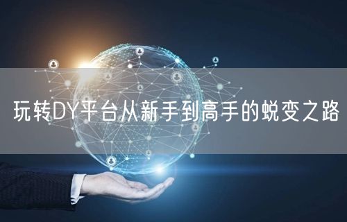 玩转DY平台从新手到高手的蜕变之路
