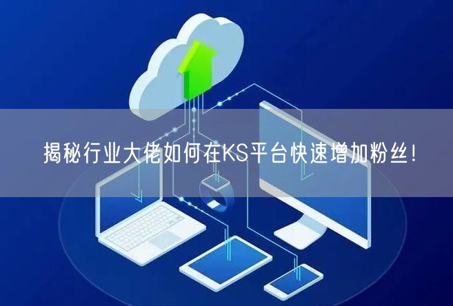 揭秘行业大佬如何在KS平台快速增加粉丝！
