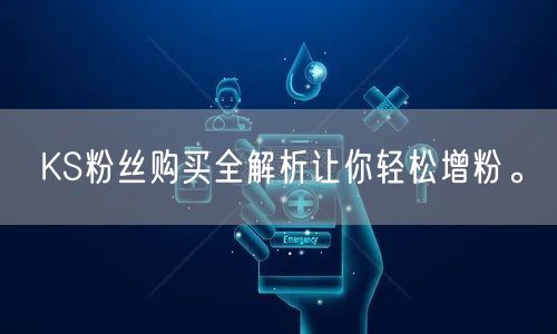 KS粉丝购买全解析让你轻松增粉。