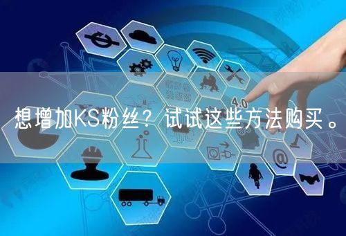 想增加KS粉丝？试试这些方法购买。