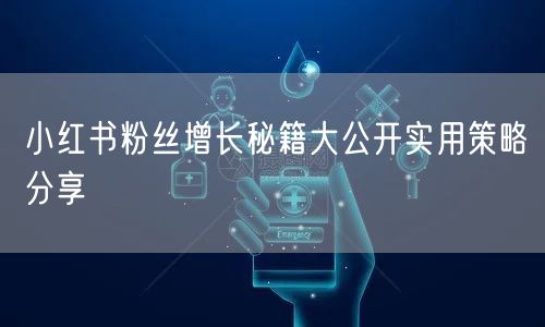 小红书粉丝增长秘籍大公开实用策略分享
