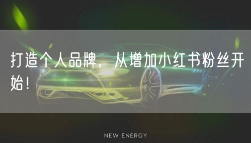 打造个人品牌，从增加小红书粉丝开始！