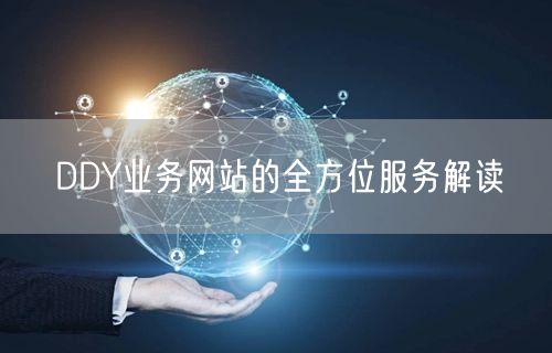 DDY业务网站的全方位服务解读