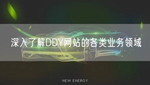 深入了解DDY网站的各类业务领域