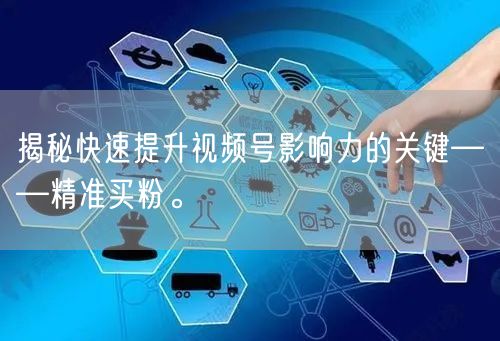 揭秘快速提升视频号影响力的关键——精准买粉。
