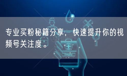 专业买粉秘籍分享，快速提升你的视频号关注度。