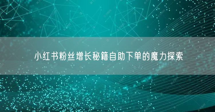 小红书粉丝增长秘籍自助下单的魔力探索