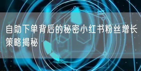 自助下单背后的秘密小红书粉丝增长策略揭秘