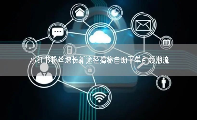 小红书粉丝增长新途径揭秘自助下单引领潮流