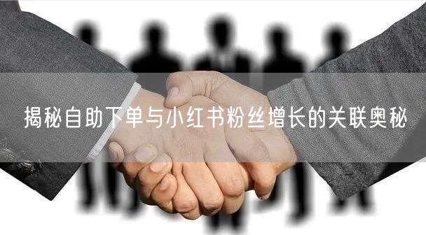 揭秘自助下单与小红书粉丝增长的关联奥秘