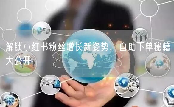 解锁小红书粉丝增长新姿势，自助下单秘籍大公开