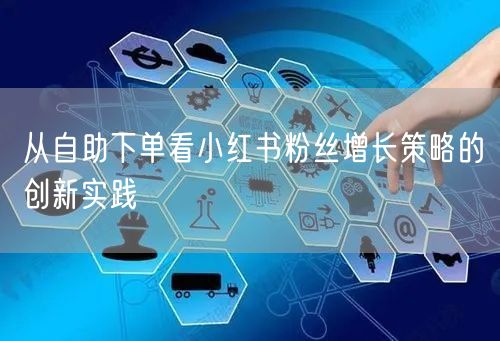从自助下单看小红书粉丝增长策略的创新实践