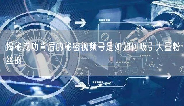 揭秘成功背后的秘密视频号是如如何吸引大量粉丝的
