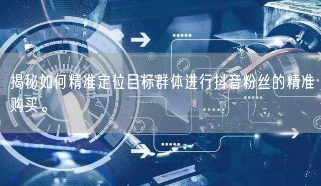 揭秘如何精准定位目标群体进行抖音粉丝的精准购买。