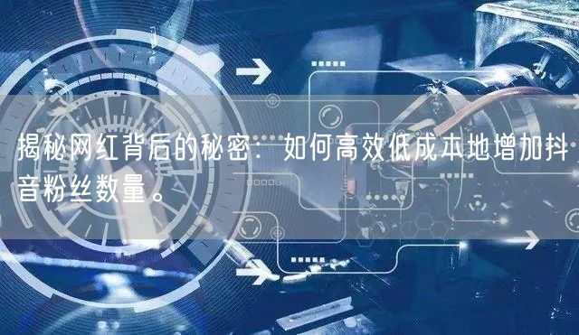 揭秘网红背后的秘密：如何高效低成本地增加抖音粉丝数量。