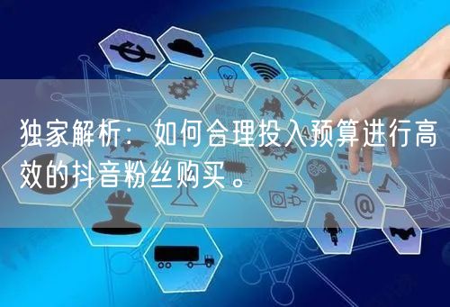独家解析：如何合理投入预算进行高效的抖音粉丝购买。