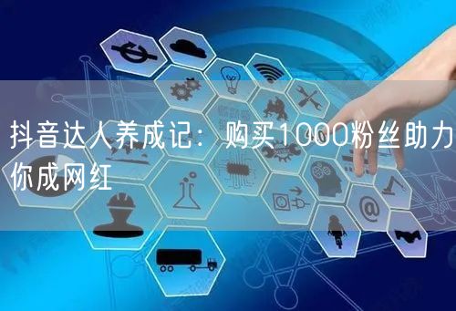 抖音达人养成记：购买1000粉丝助力你成网红