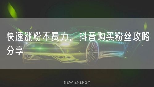 快速涨粉不费力，抖音购买粉丝攻略分享
