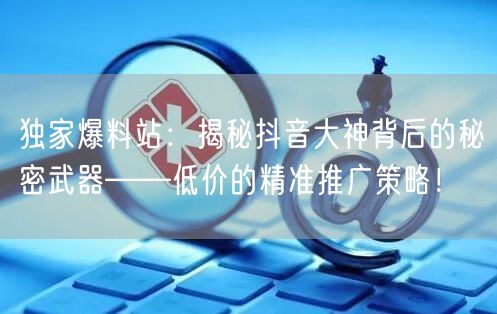 独家爆料站：揭秘抖音大神背后的秘密武器——低价的精准推广策略！