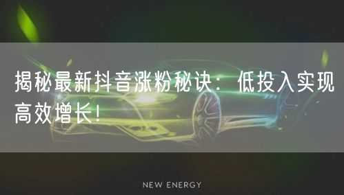 揭秘最新抖音涨粉秘诀：低投入实现高效增长！
