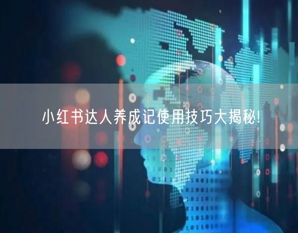 小红书达人养成记使用技巧大揭秘!