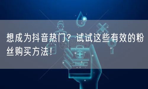 想成为抖音热门？试试这些有效的粉丝购买方法！