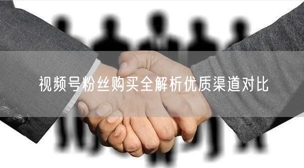 视频号粉丝购买全解析优质渠道对比