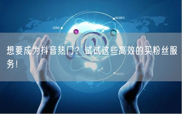 想要成为抖音热门？试试这些高效的买粉丝服务！