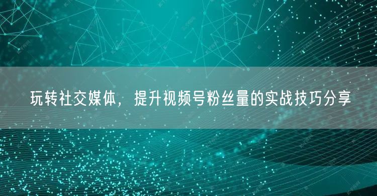 玩转社交媒体，提升视频号粉丝量的实战技巧分享