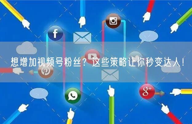 想增加视频号粉丝？这些策略让你秒变达人！