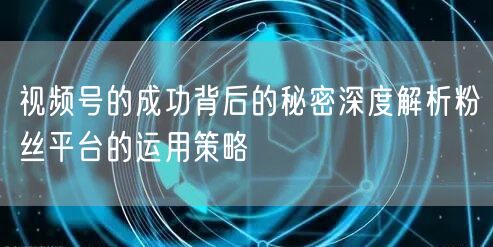 视频号的成功背后的秘密深度解析粉丝平台的运用策略