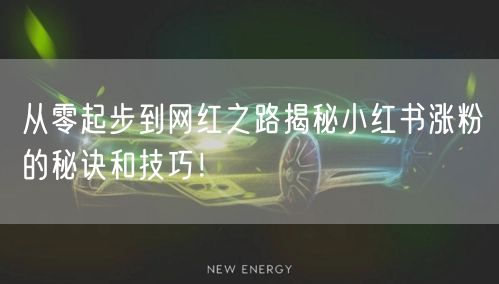 从零起步到网红之路揭秘小红书涨粉的秘诀和技巧！