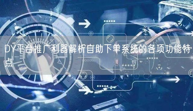 DY平台推广利器解析自助下单系统的各项功能特点